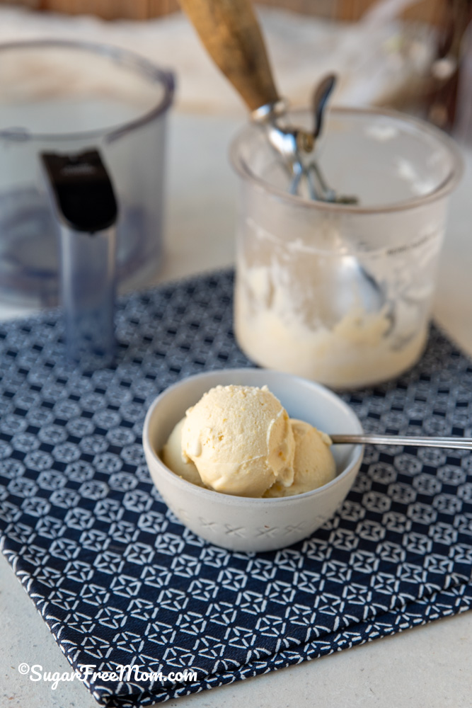 Homemade Sugar Free Keto Carnivore Ice Cream Recipe